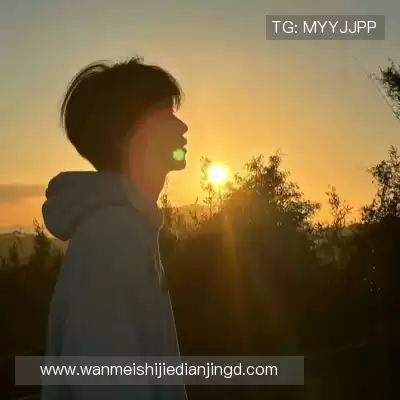 皮蝶研